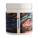 Creatina Strongster 300g